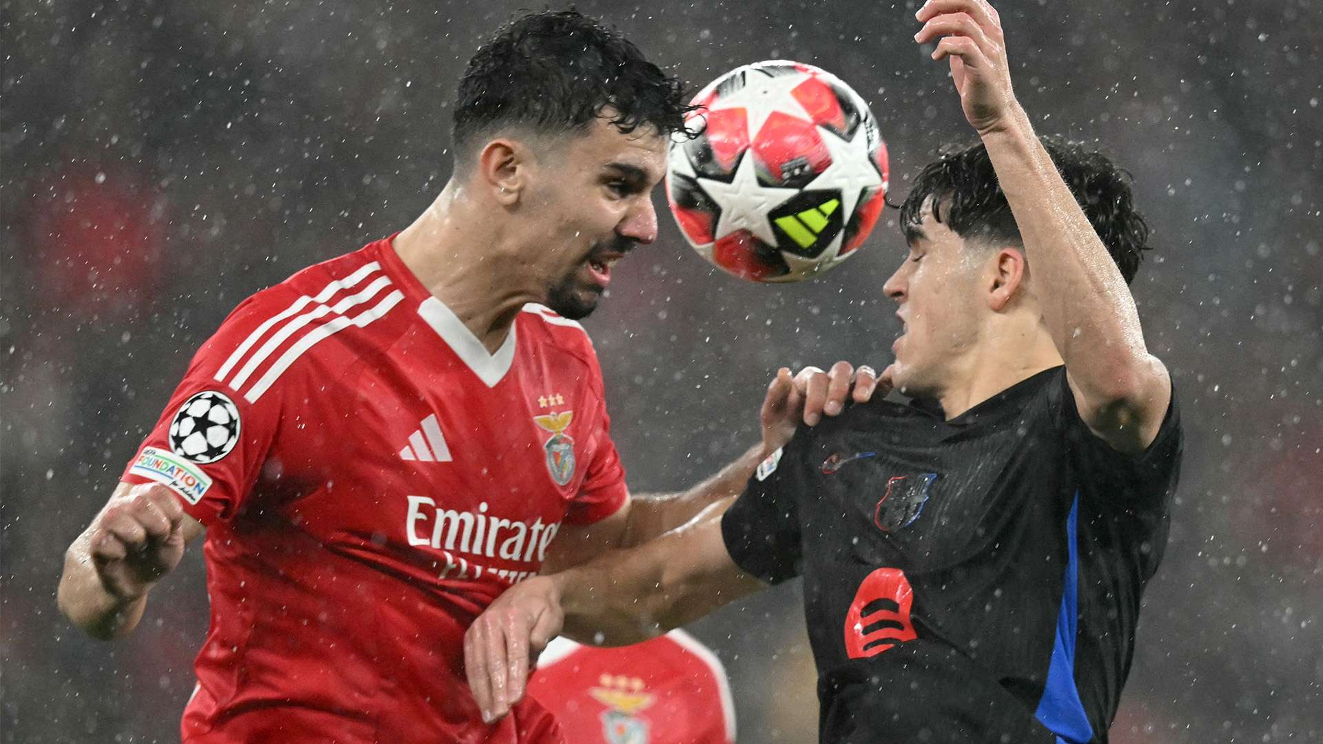 小李不仅省 小李不仅省